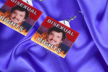 Pedro Pascal Bisexual Rights Flame Pride Flag Handmade Earrings!