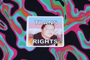 Flaming Trans Flag Character Stickers