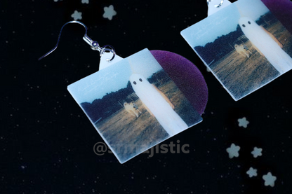 Phoebe Bridgers Stranger in the Alps Vinyl Album Handmade Earrings!