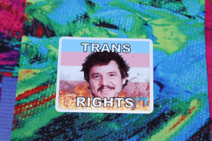 Pedro Pascal Flaming Pride Flag Character Stickers