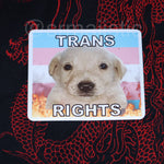 Jotchua Dog Flaming Pride Flag Character Stickers
